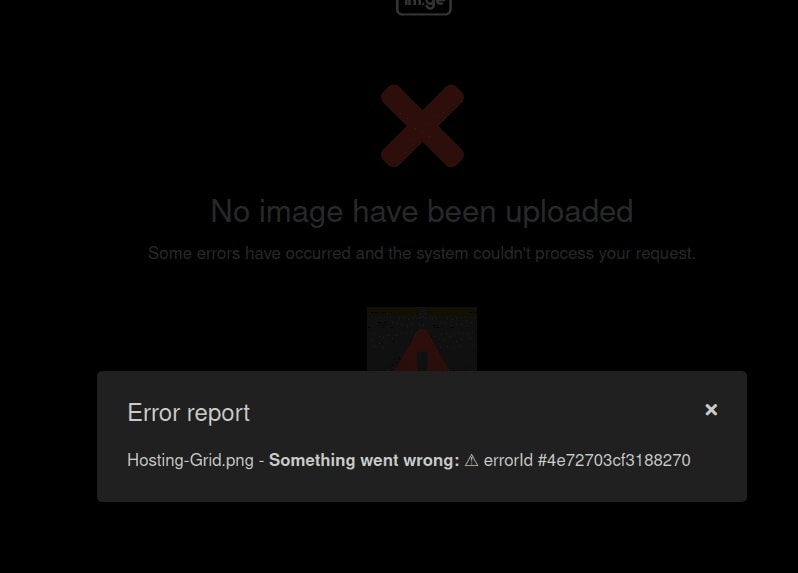 Image hosting error showing broken link on a forum