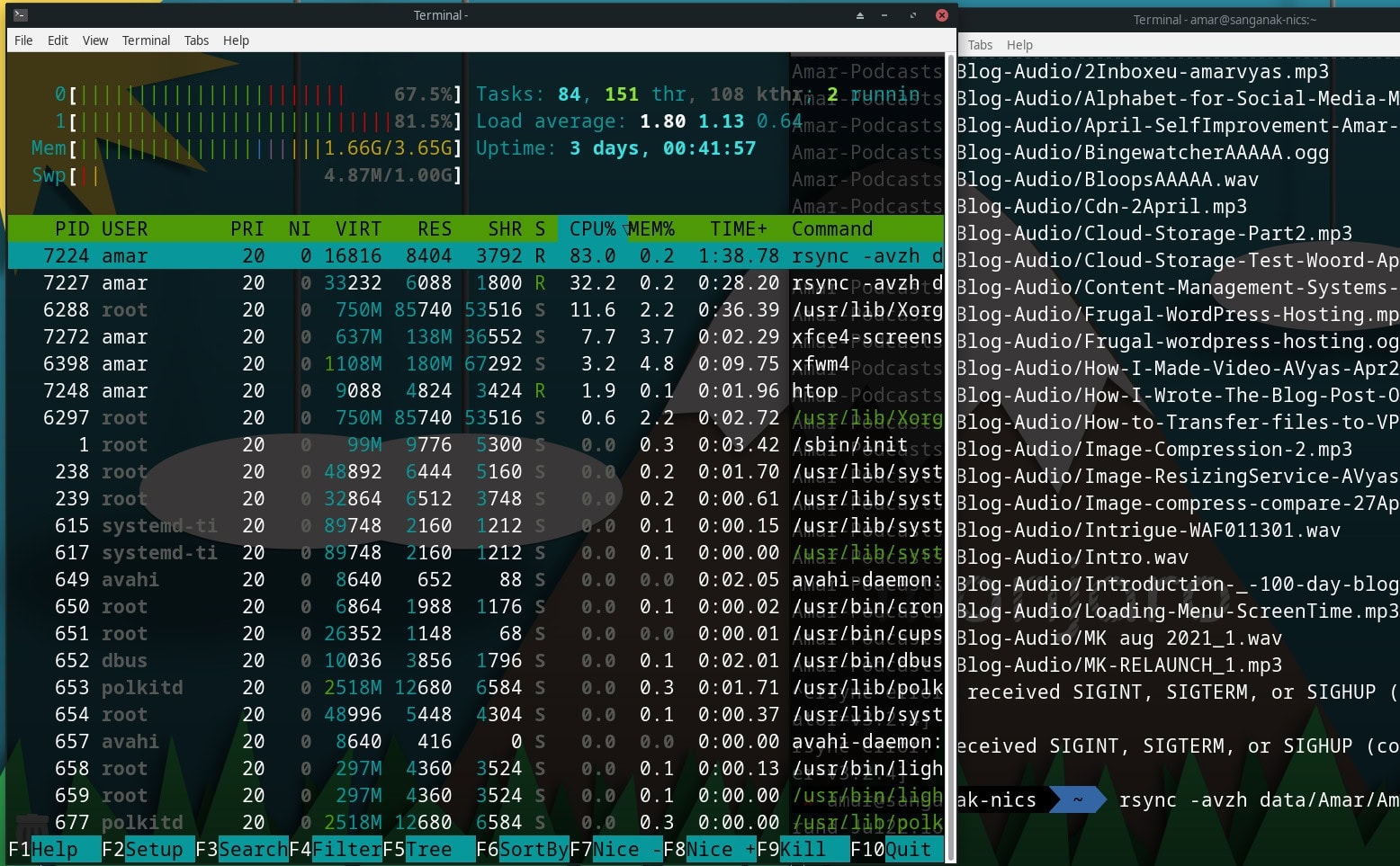Timeshift Utility on MX Linux for Backup