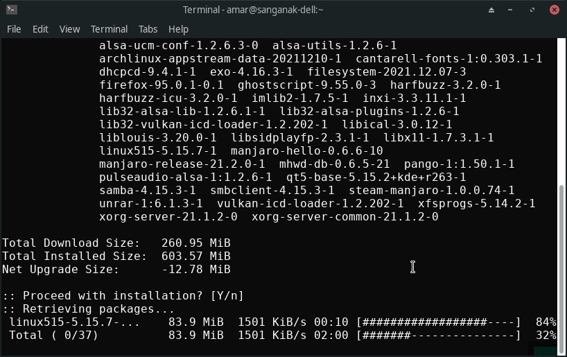 Manjaro Upgrade: Lenovo Thinkpad AMD Ryzen Laptop