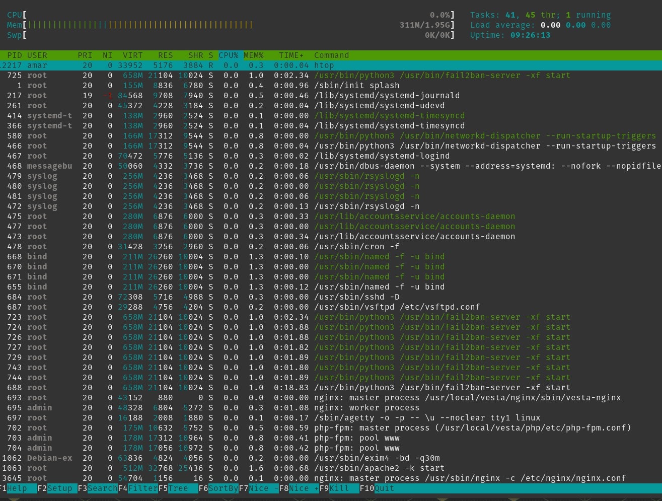 Server resource usage visible via htop on a HestiaCP server