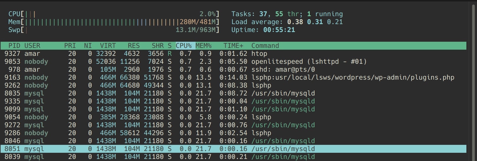 ols-htop-1hour.jpg