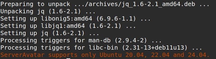 Server Avatar Ubuntu Setup